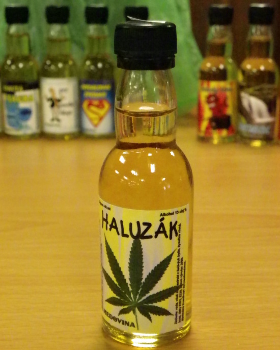 Burza SSaM (Praha 18.5.2013) - fotografie