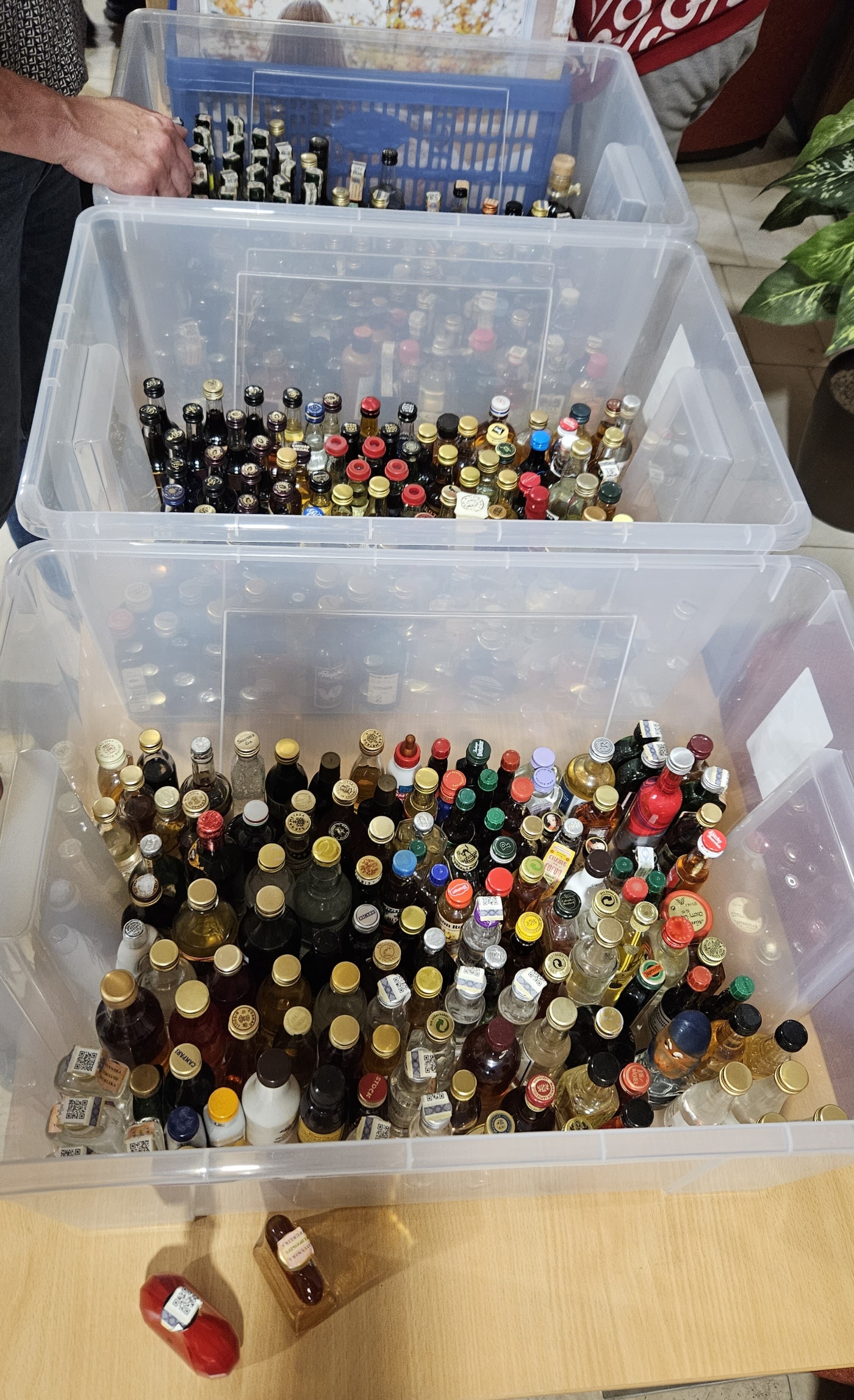 Burza minif�a�ti�iek alkoholu - Minibottles collectors meeting
Praha - 20.5.2023
SSaM - Spolek Sb�ratel� alkoholick�ch Miniatur